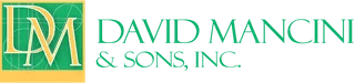 David Mancini and Sons, Inc.