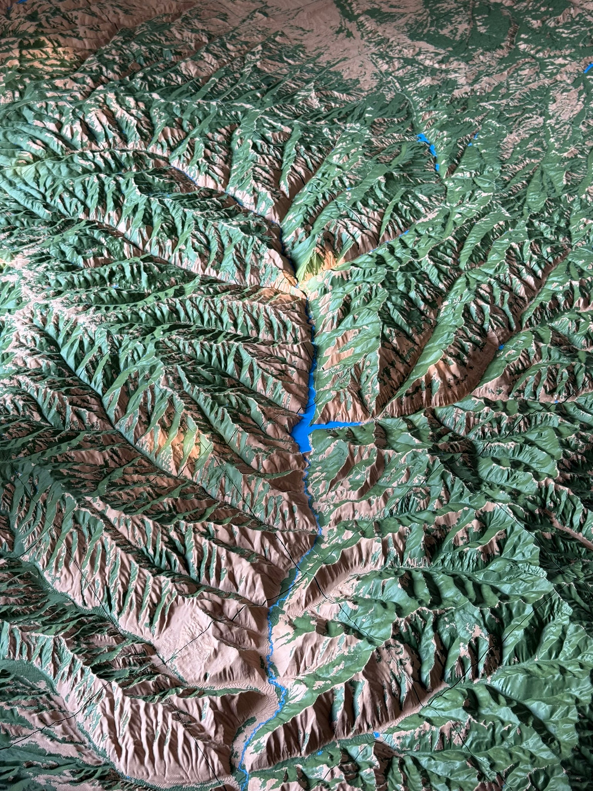 Detailed multicolor terrain with green mountains, pale ridges and a winding blue river
