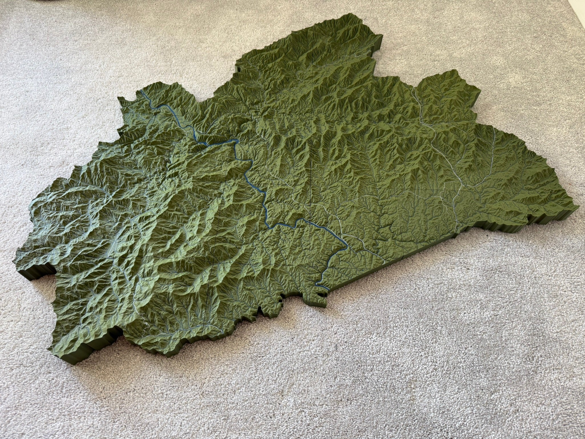 Green terrain model with a custom geographic outline, detailed ridges, roads, and a blue river