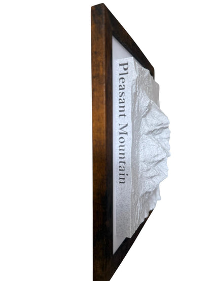 3D printed topographic map of Custom 3D Topographic Map – Marble White by Terrastrata